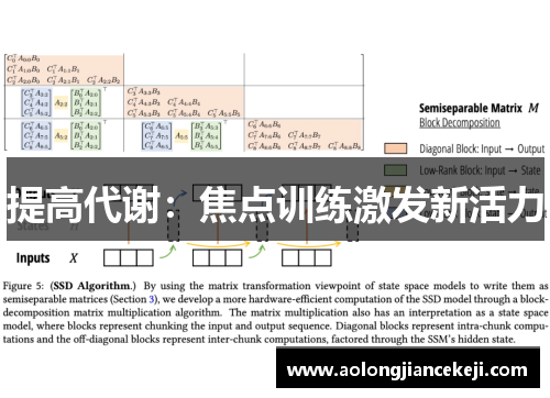 提高代谢:焦点训练激发新活力 提高代谢:焦点训练激发新活力