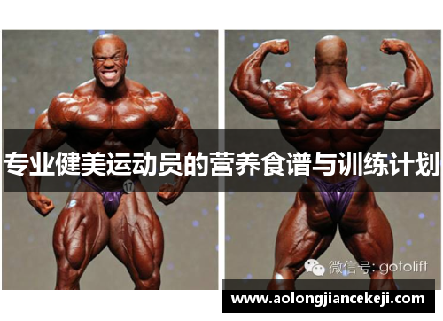 专业健美运动员的营养食谱与训练计划