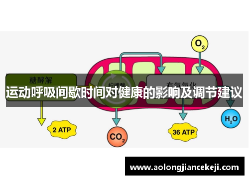 运动呼吸间歇时间对健康的影响及调节建议